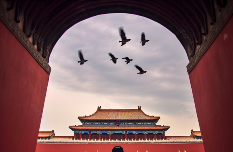 天空下的飞鸟古建筑故宫百年历史展览摄影图,高清,摄影图,摄影图片,图片大全,摄影图免费下载